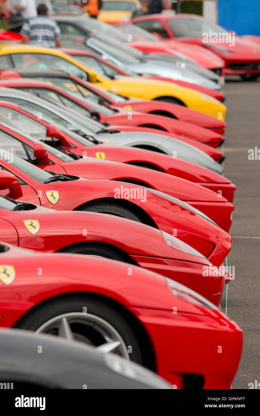 Ferrari Owners Club sports cars lined up at the 2016 Silverstone Classic event, England, UK Stock Photo