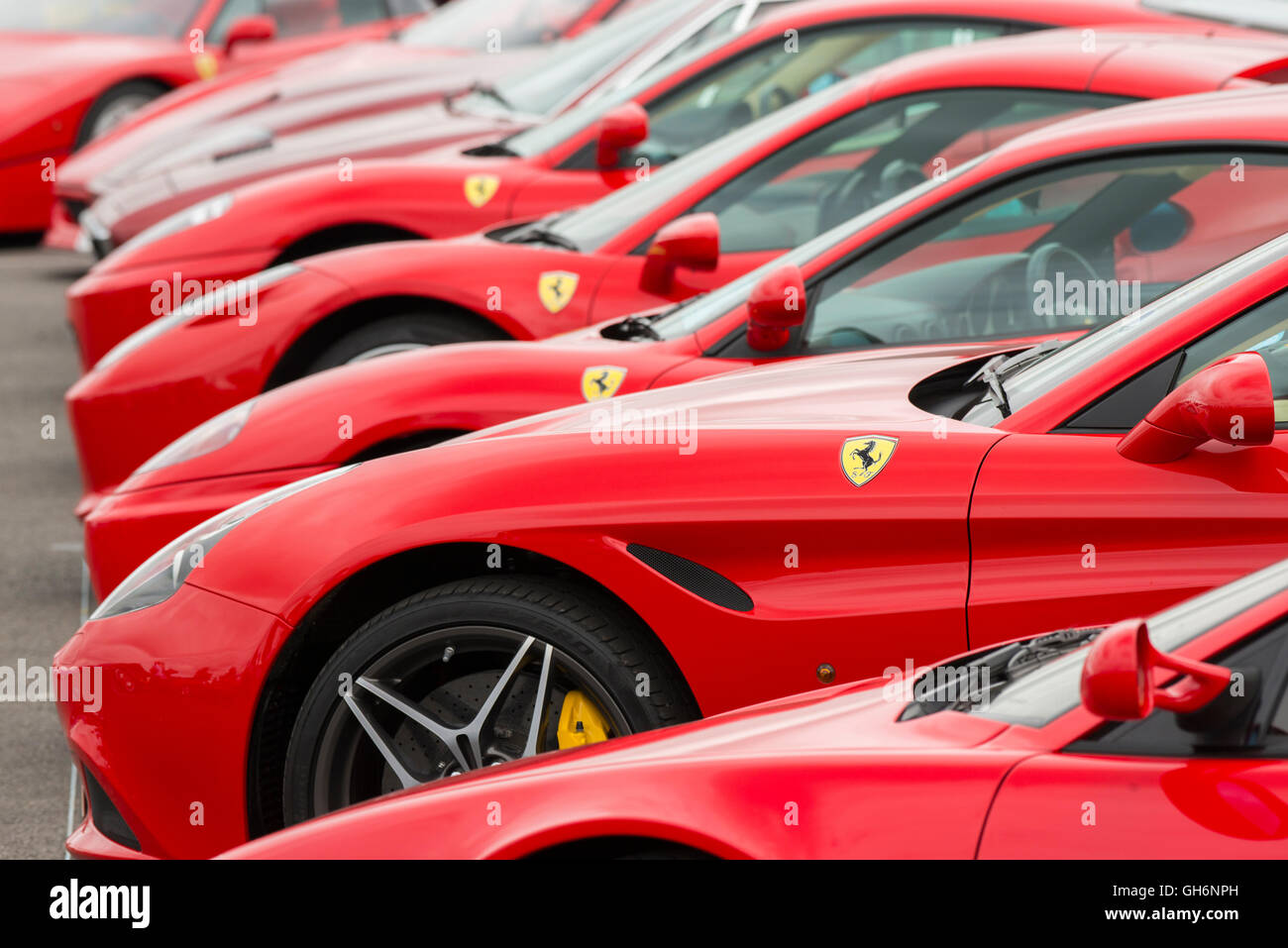 Ferrari Owners Club sports cars lined up at the 2016 Silverstone Classic event, England, UK Stock Photo