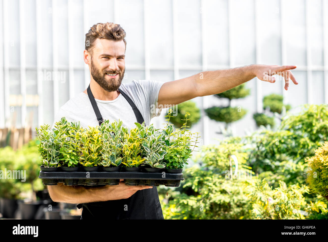 Gardener holding pots with plants Stock Photo - Alamy
