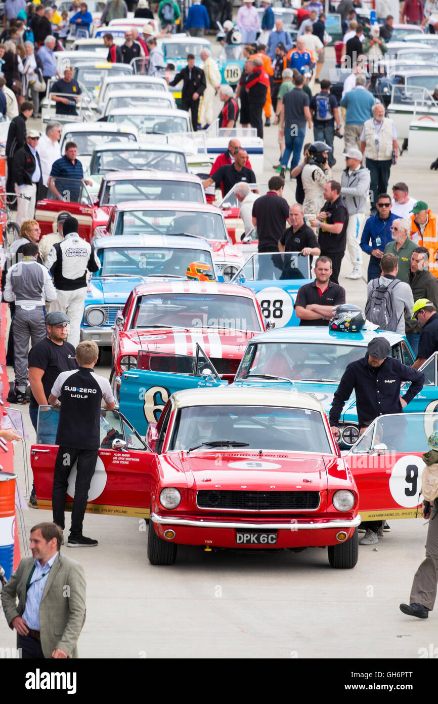 A Ford Mustang at the front of a line of classic touring cars in the paddock at the annual Silverstone Classic event, UK Stock Photo