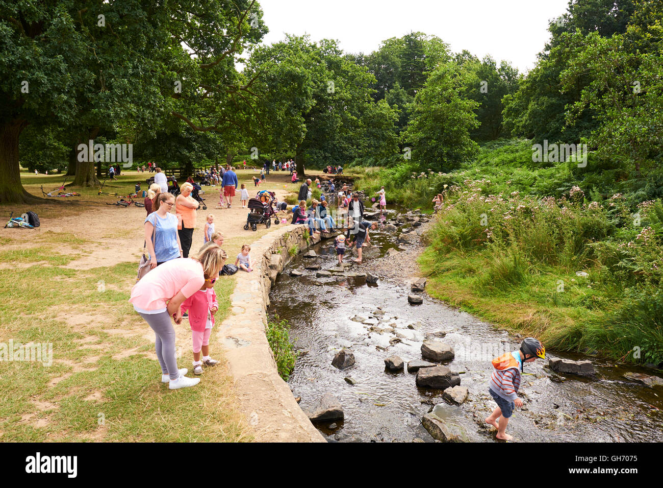 Children Playing In A Small Stream Which Runs Through Bradgate Park Charnwood Forest Newtown Linford Leicestershire UK Stock Photo