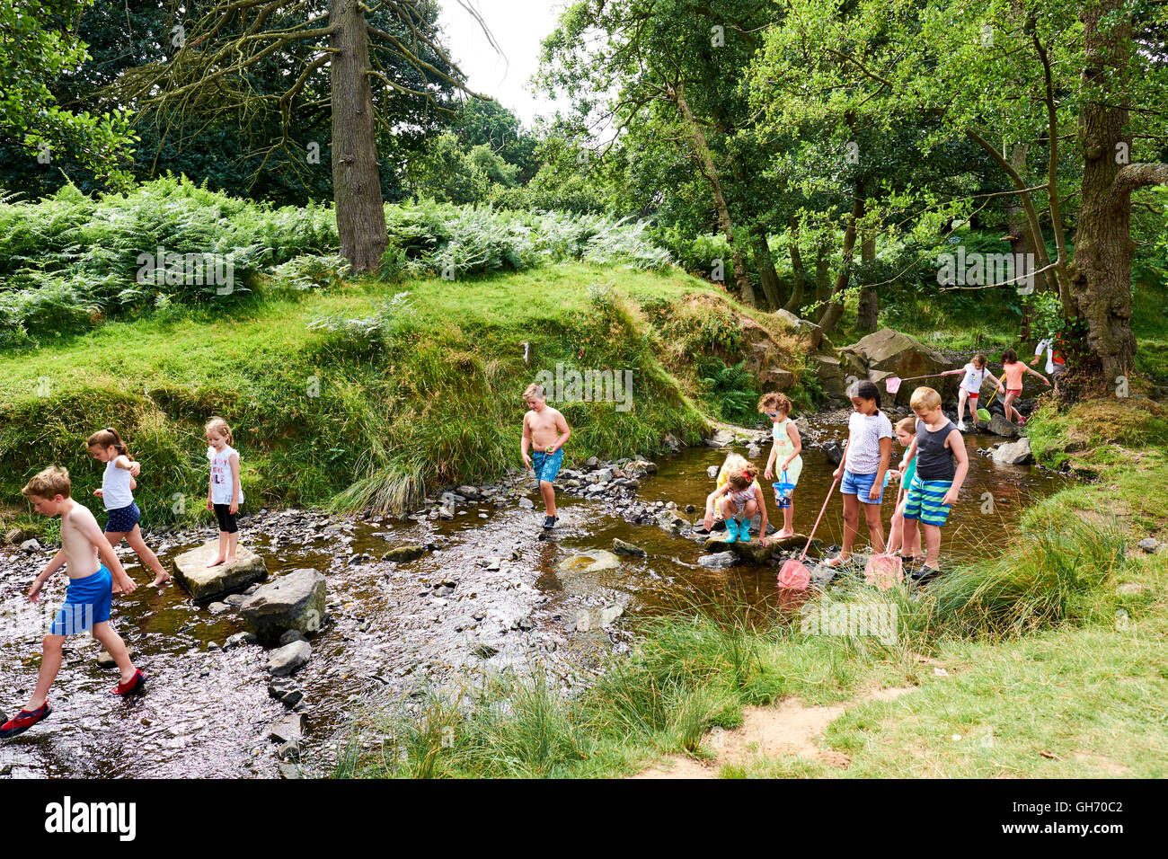 Children Playing In A Small Stream Which Runs Through Bradgate Park Charnwood Forest Newtown Linford Leicestershire UK Stock Photo