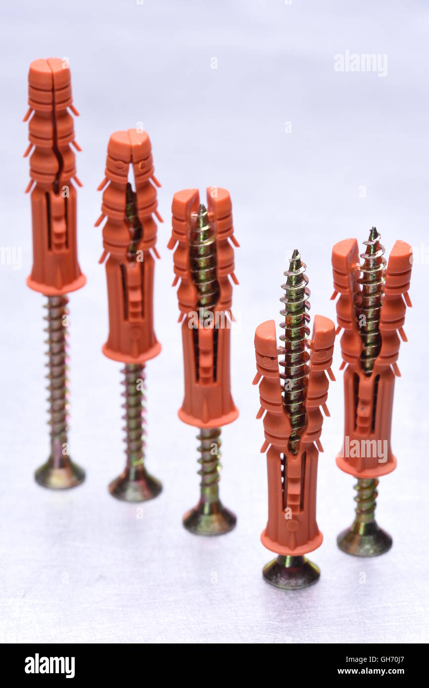 Group of plastic anchors with screws Stock Photo Alamy