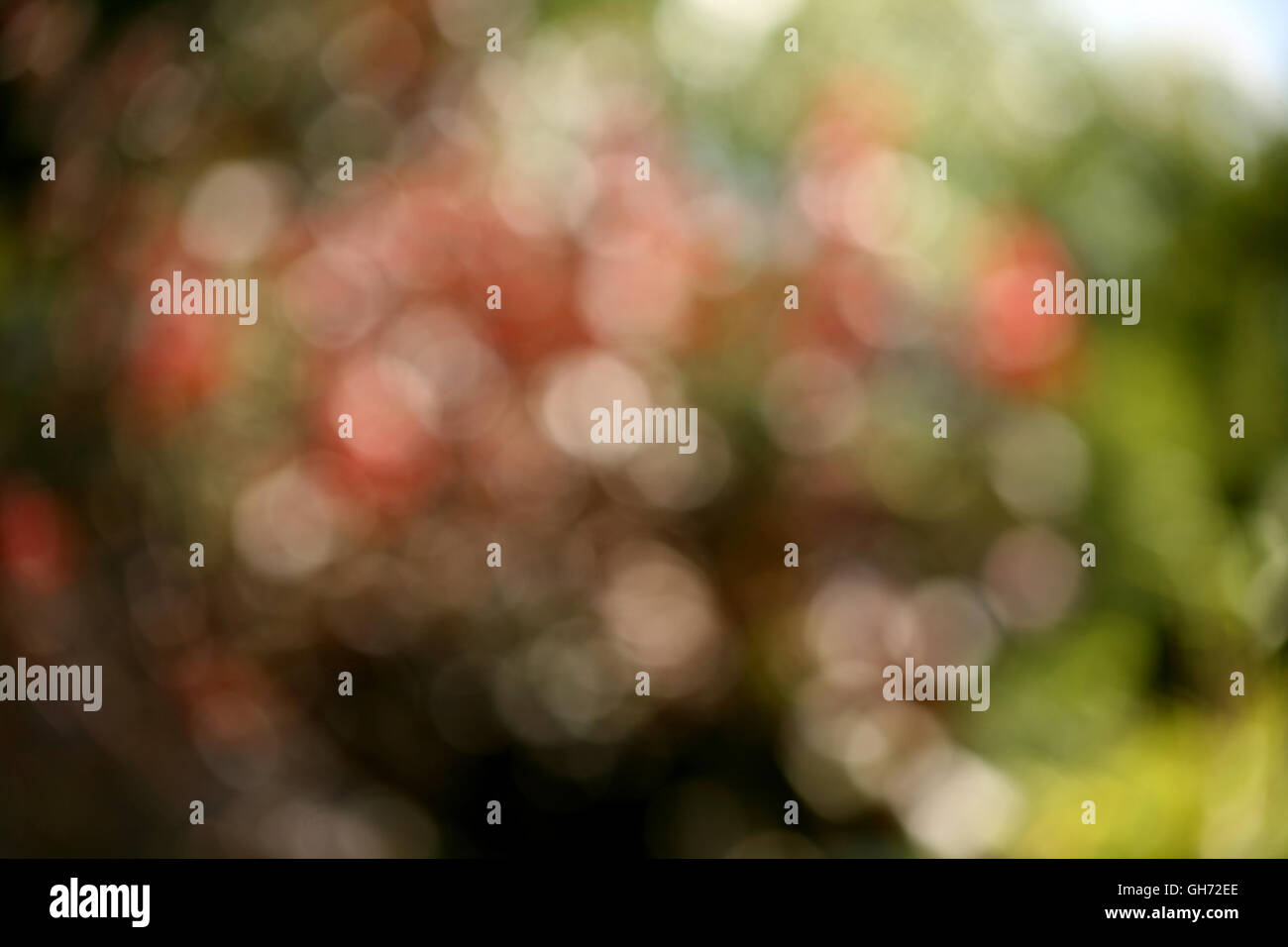 Bokeh light overlay blur circles hi-res stock photography and images ...