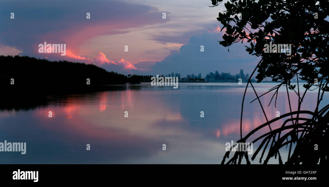 Miami skyline in the distance as seen from Biscayne Bay aquatic preserve. Stock Photo