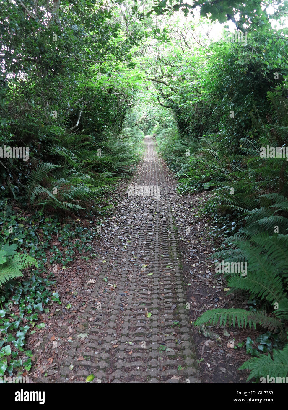 Pembrokeshire Coast Path National Trail from Tenby to Saundersfoot