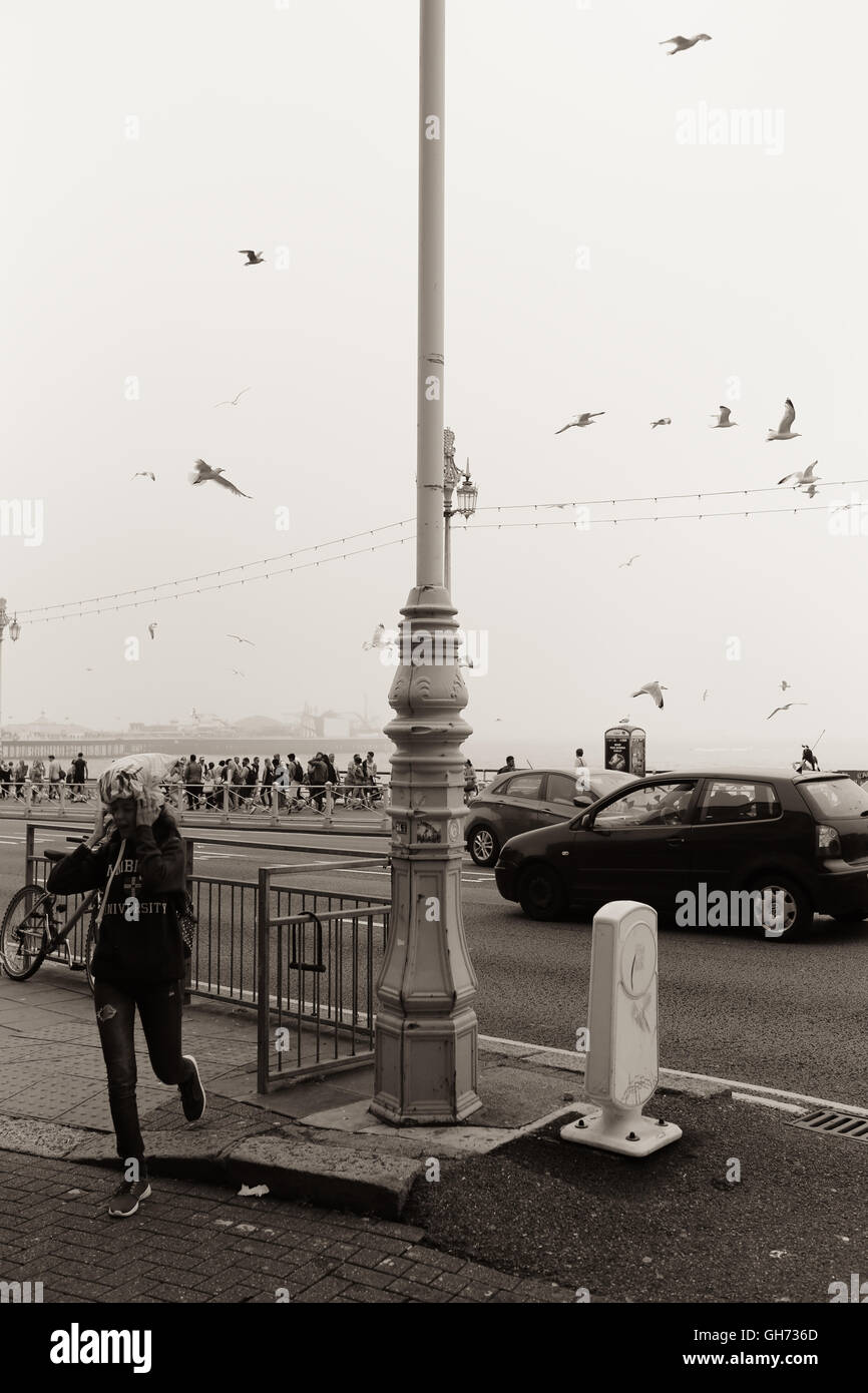 Sepia image of woman frightened of seagulls holding a bag over her head on Brighton seafront Stock Photo