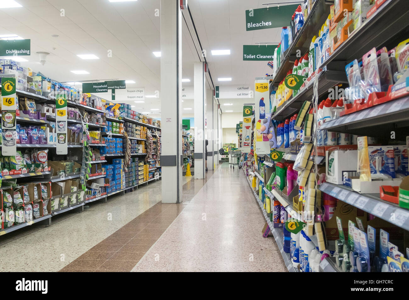 morrisons cat litter