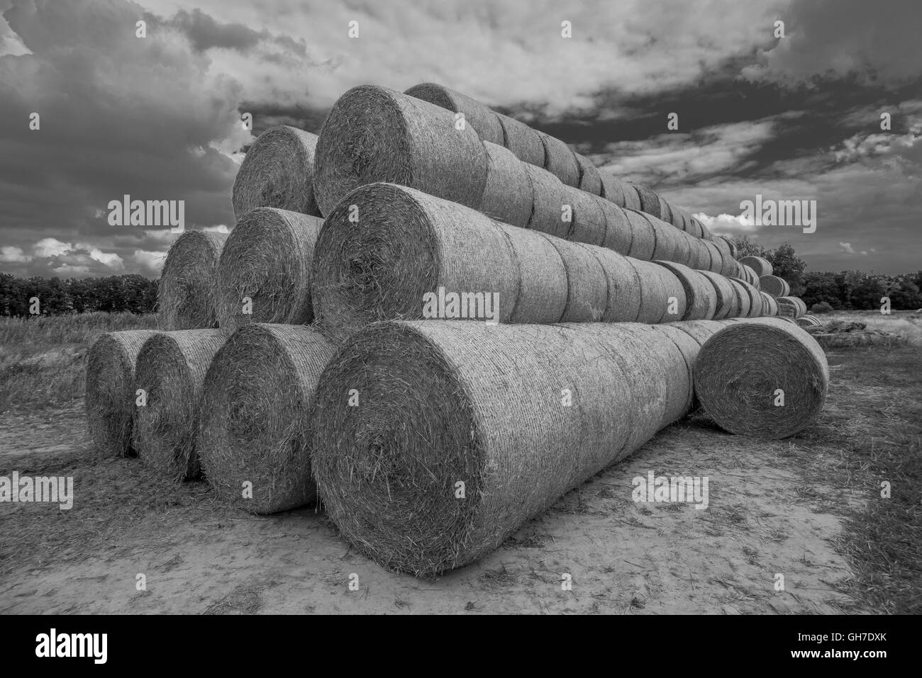 Bales of straw stacked in pile Stock Photo Alamy