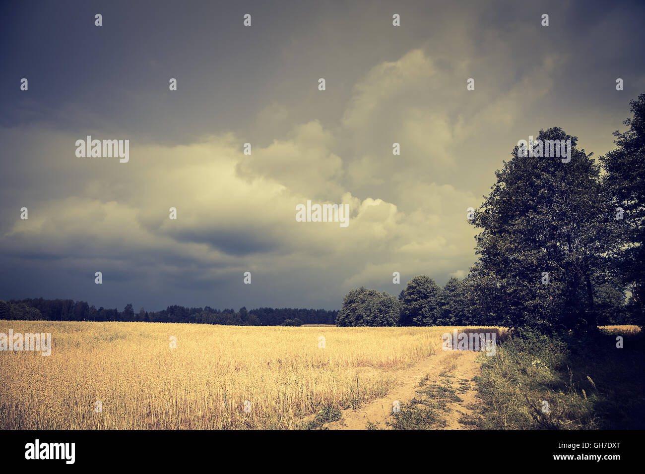 Dark Toned Landscape with Field and Moody Sky Stock Photo - Alamy