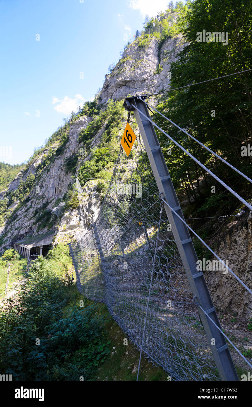 Hieflau: Rockfall nets on a railway track, Austria, Steiermark, Styria, Obere Steiermark Stock Photo