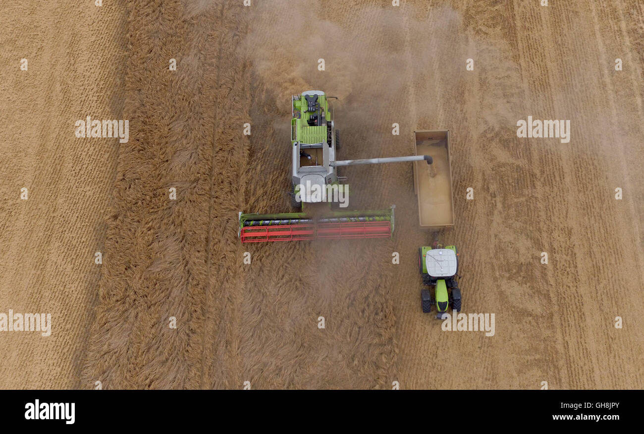 An aerial view of a combine harvester working in a field of Barley in Hampshire. Stock Photo