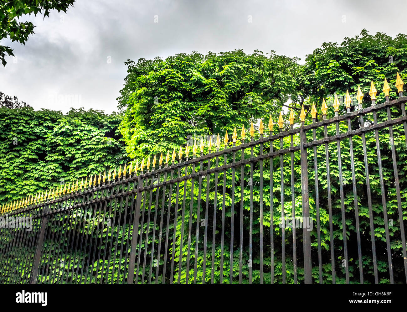 Wrought iron fence with spearhead design against tall green bushes Stock Photo