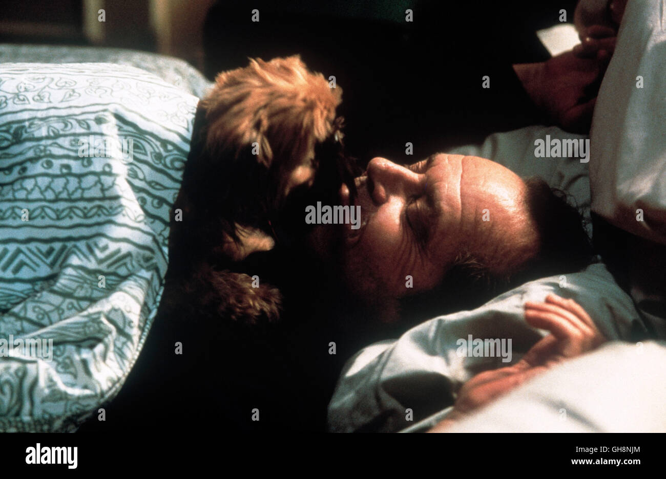 BESSER GEHT'S NICHT / As good as it get's USA 1997 / James L. Brooks Der kleine Verdell darf zu Melvin (JACK NICHOLSON) ins Bett. Regie: James L. Brooks aka. As good as it get's Stock Photo