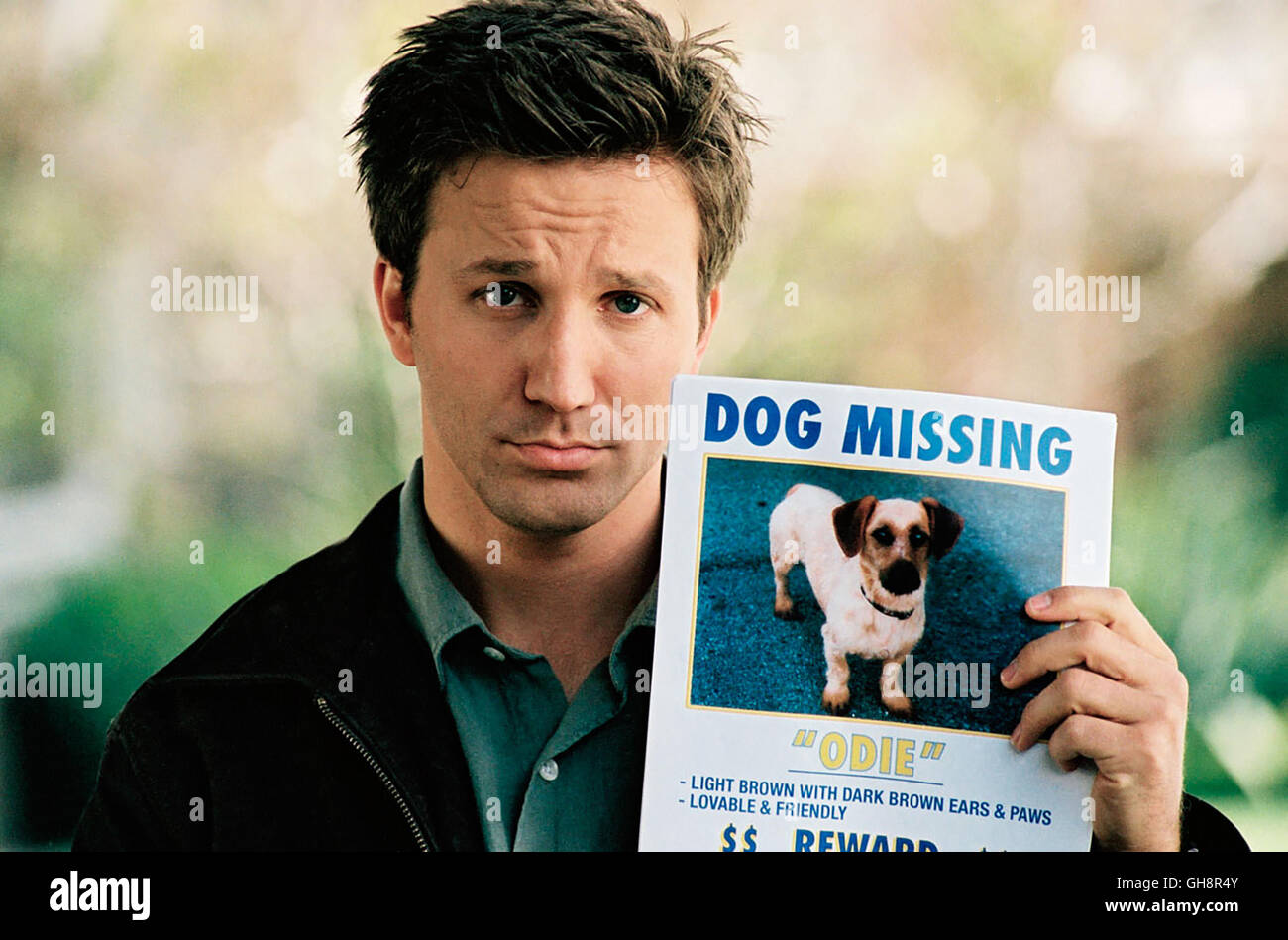 Garfield movie 2004 breckin meyer hi-res stock photography and images - Alamy