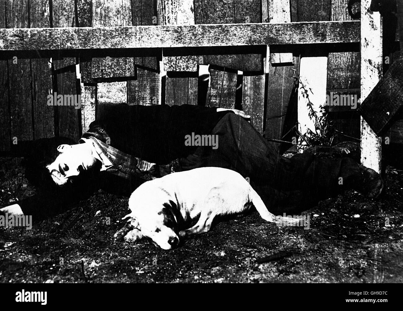 CHARLES CHAPLIN (Der Tramp und sein Gefährte, ein Hund) Film, Fernsehen, Drama, Stummfilm, Silent Movie Regie: Charles Chaplin aka. A Dog's Life Stock Photo