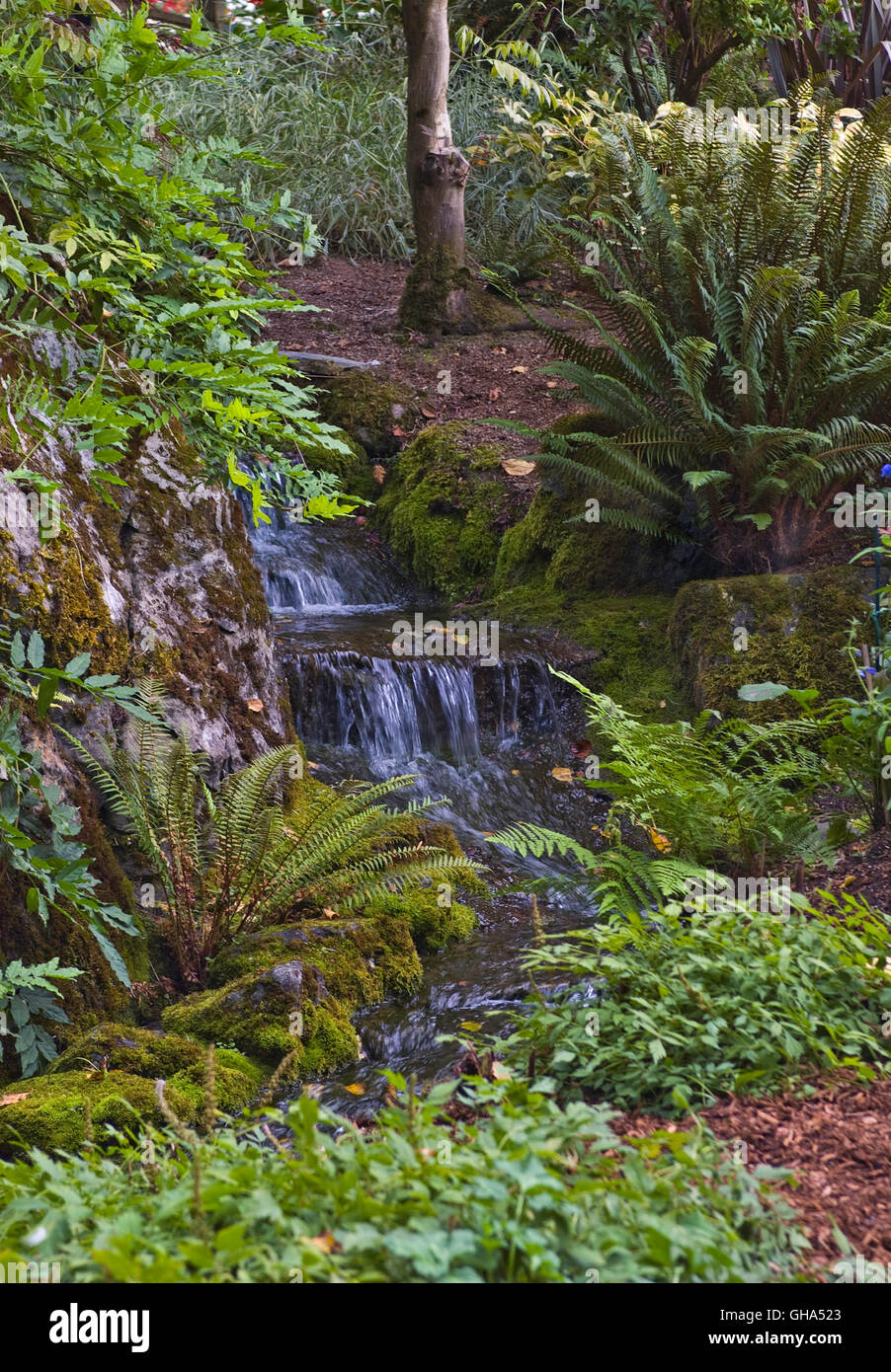 Ornamental woodland garden hi-res stock photography and images - Alamy