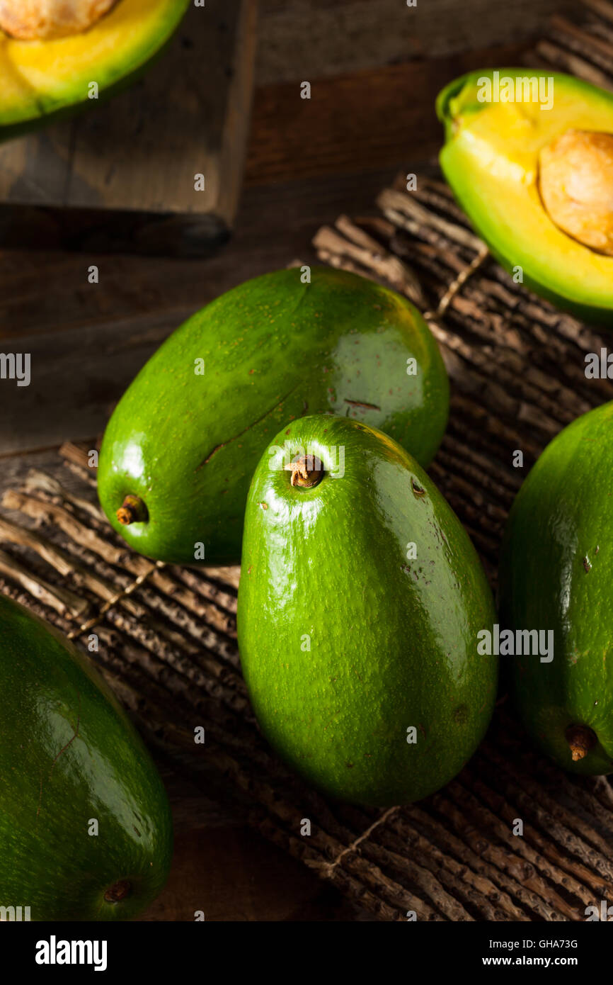 Raw Green Organic Florida Avocados Ready to Eat Stock Photo Alamy