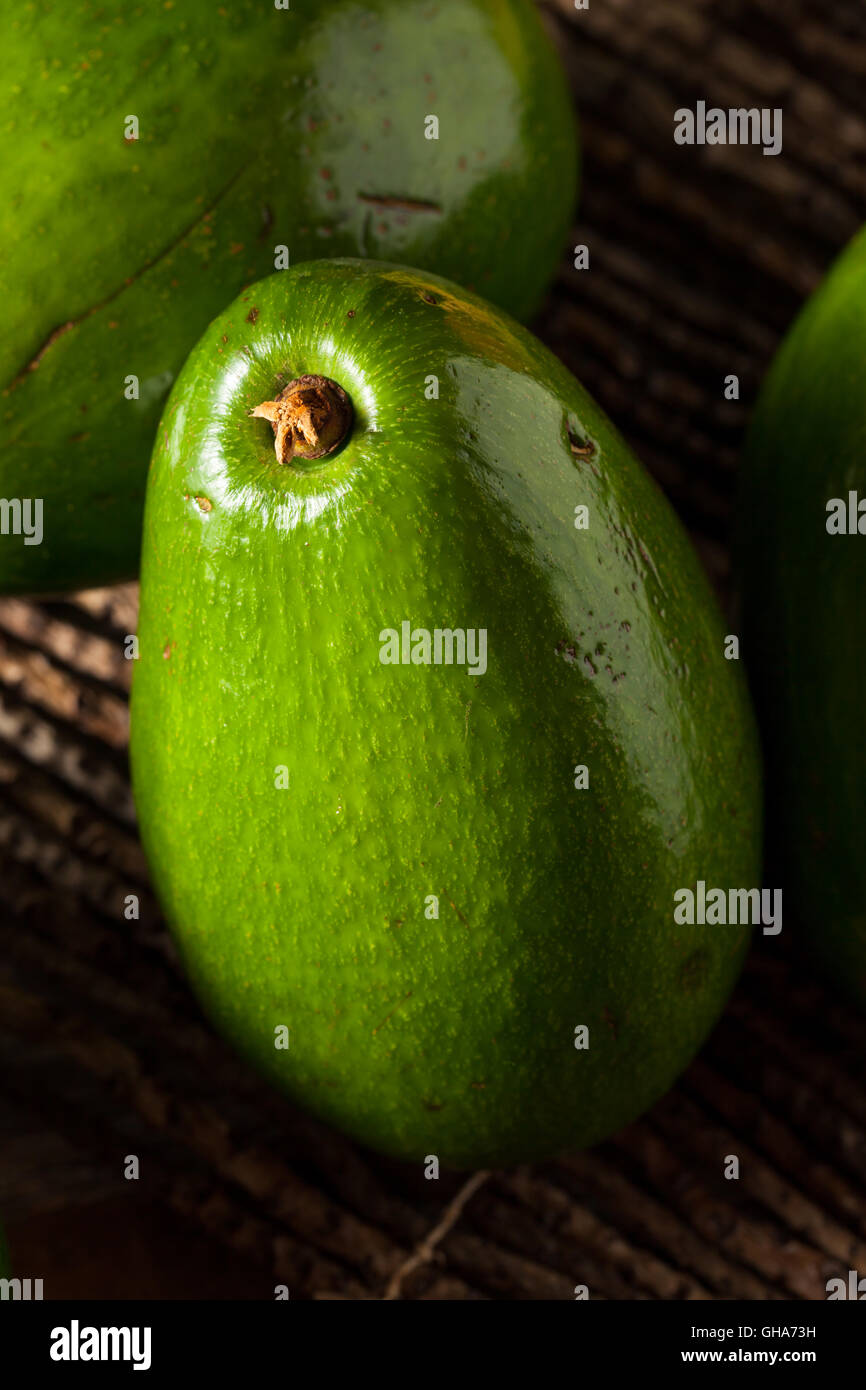 Raw Green Organic Florida Avocados Ready to Eat Stock Photo Alamy