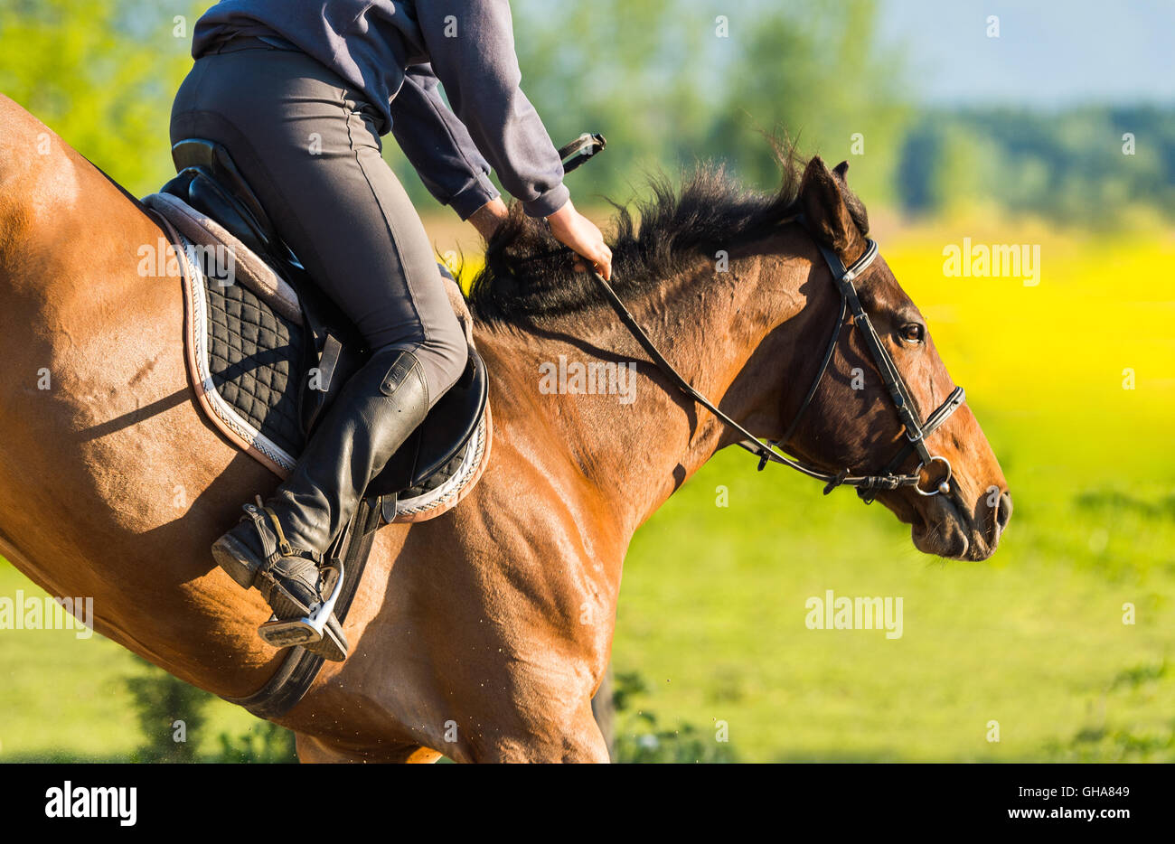 Girl jumping horse hires stock photography and images Alamy
