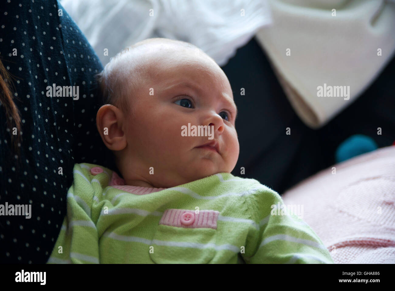 Dark Green Eyes High Resolution Stock Photography and Images Alamy