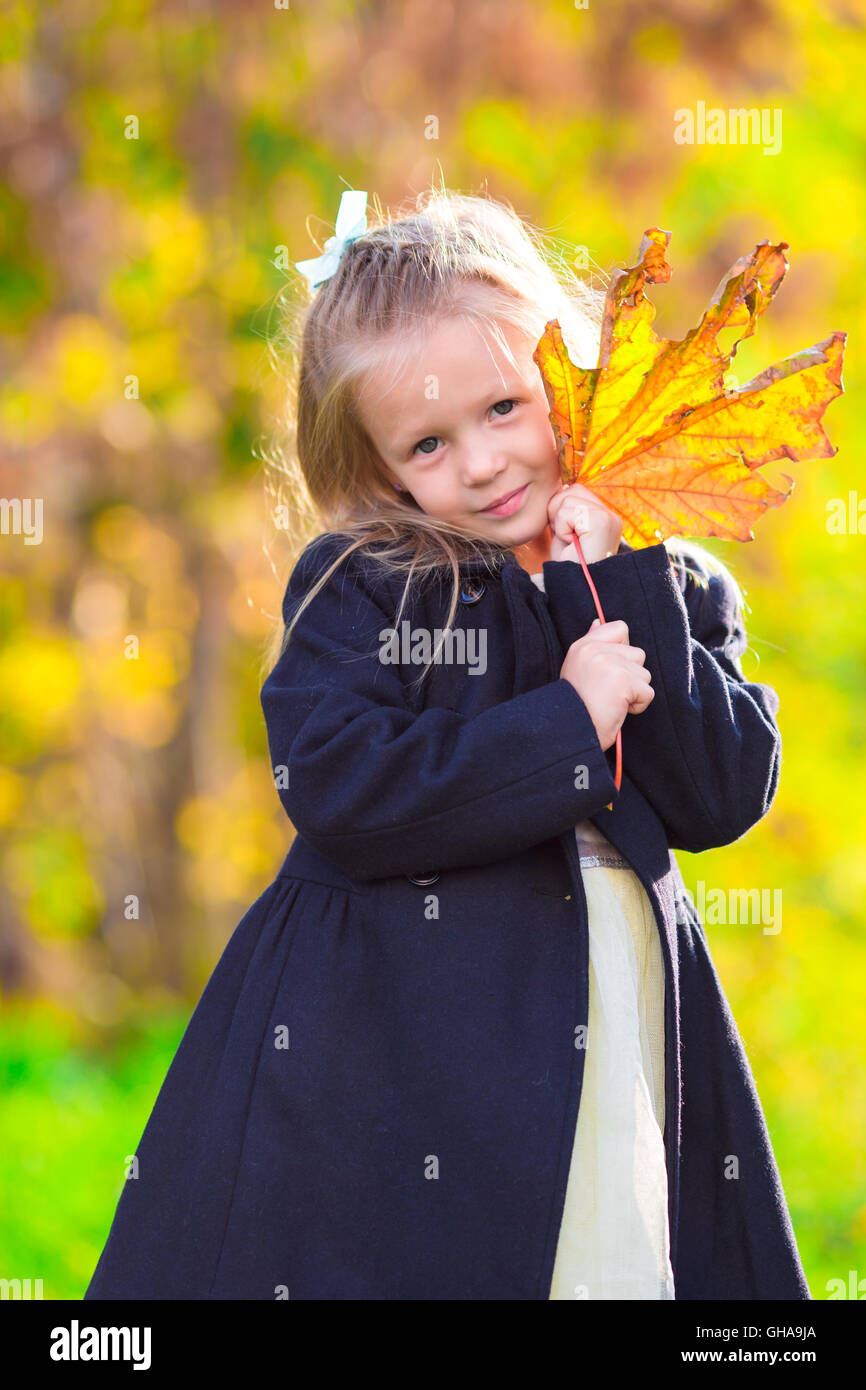 Adorable little girl with autumn leaves in the beautiful park Stock ...
