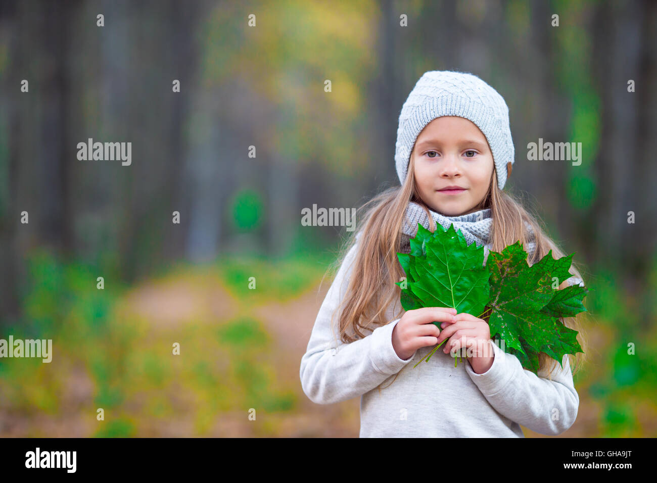 Adorable little girl with autumn leaves in the beautiful park Stock ...