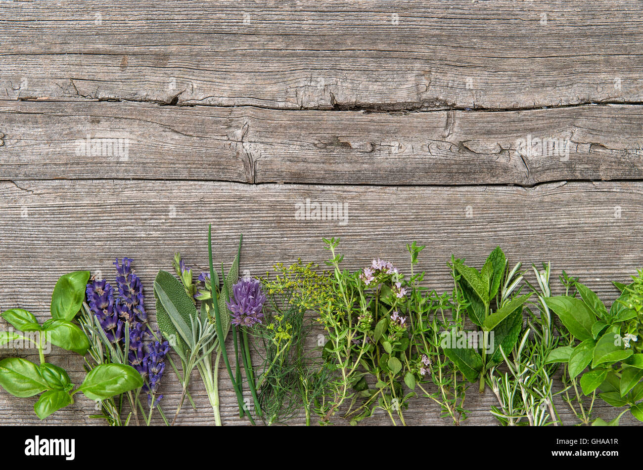 Fresh herbs on wooden background. Basil, rosemary, sage, thyme, mint, dill, oregano, marjoram, savory, lavender Stock Photo