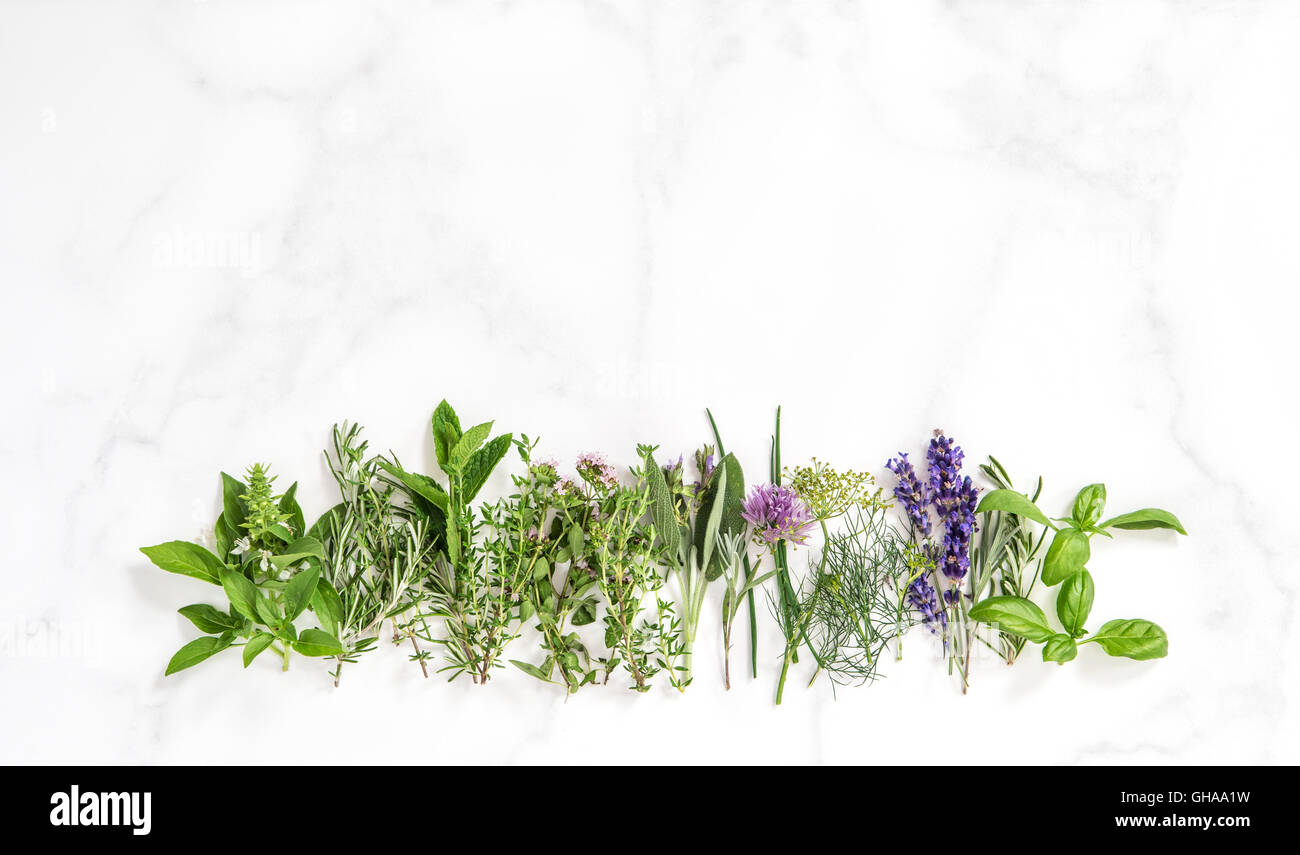 Fresh herbs on marble stone background. Basil, rosemary, sage, thyme, mint, dill, savory, chive, lavender Stock Photo