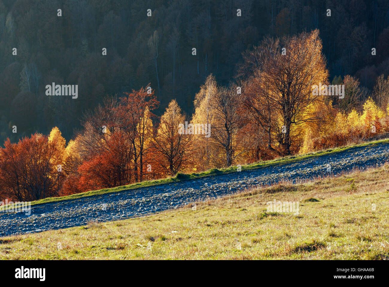 Rural road in autumn misty mountain and colorful trees on slope Stock ...