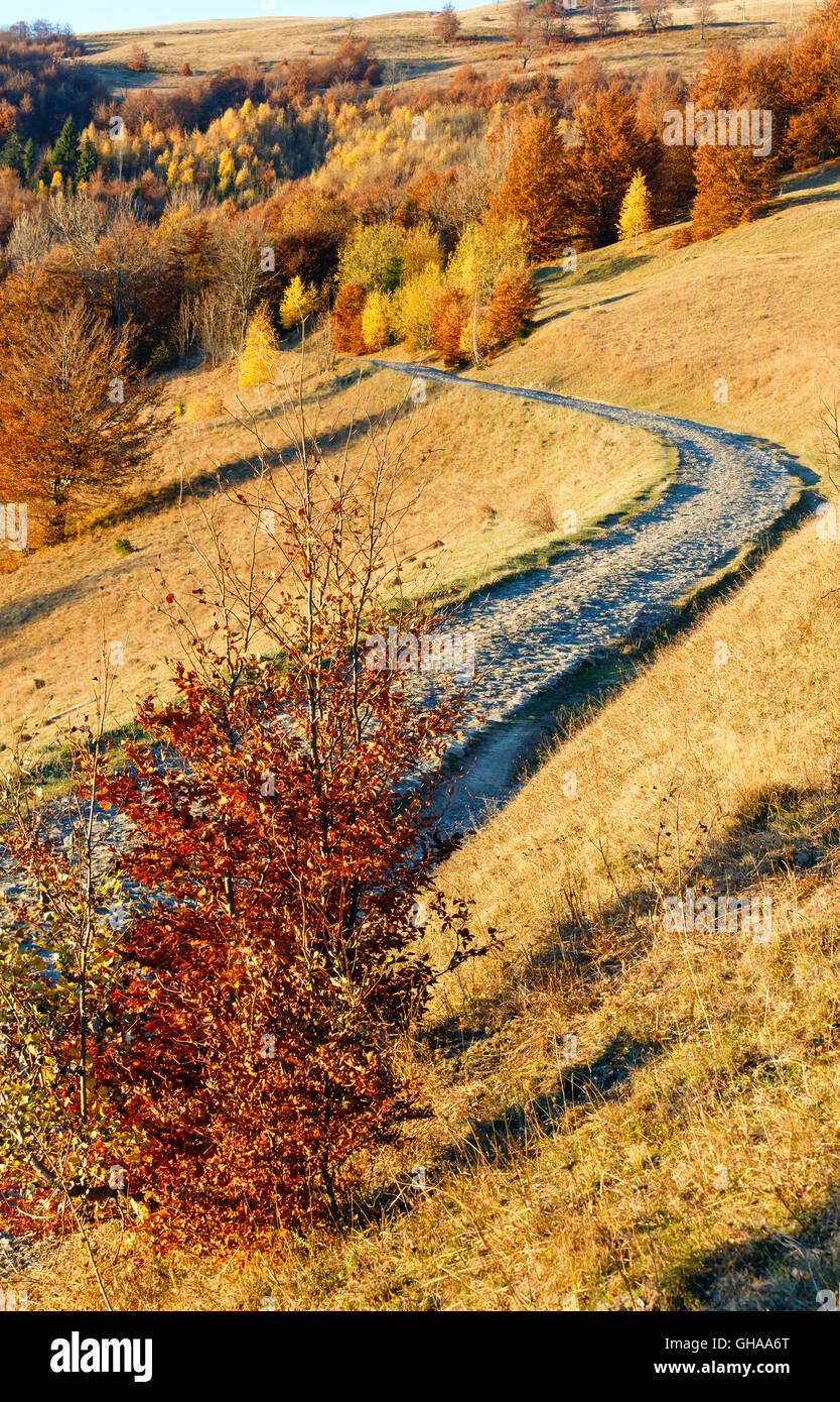 Rural road in autumn misty mountain and colorful trees on slope Stock ...