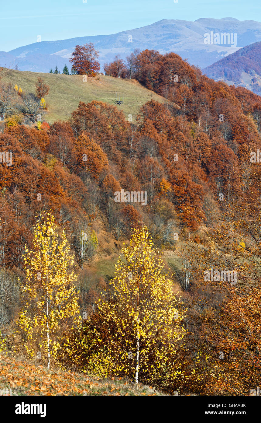 Colorful trees on slope and autumn misty mountain behind Stock Photo ...