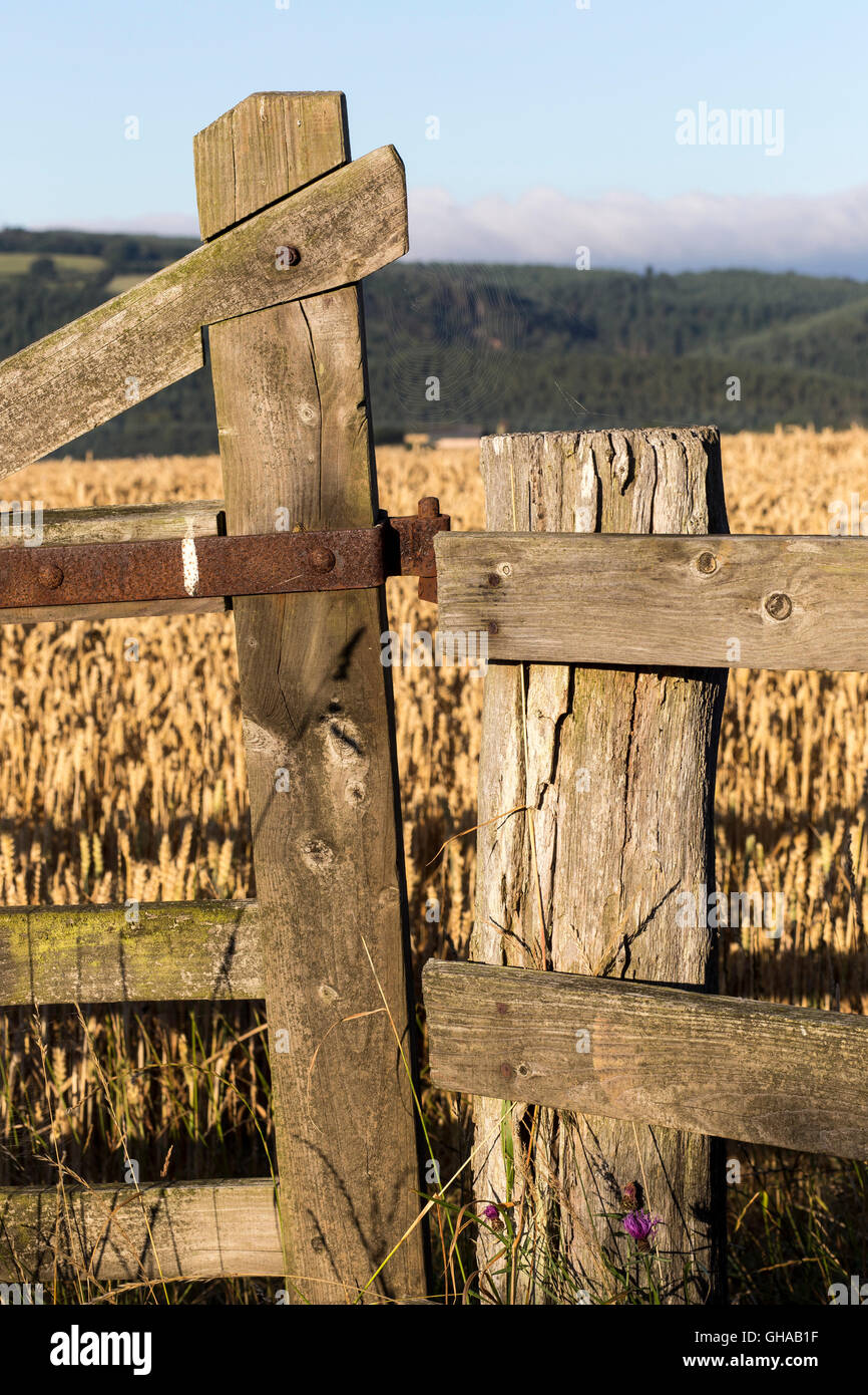 Old fence post hi-res stock photography and images
