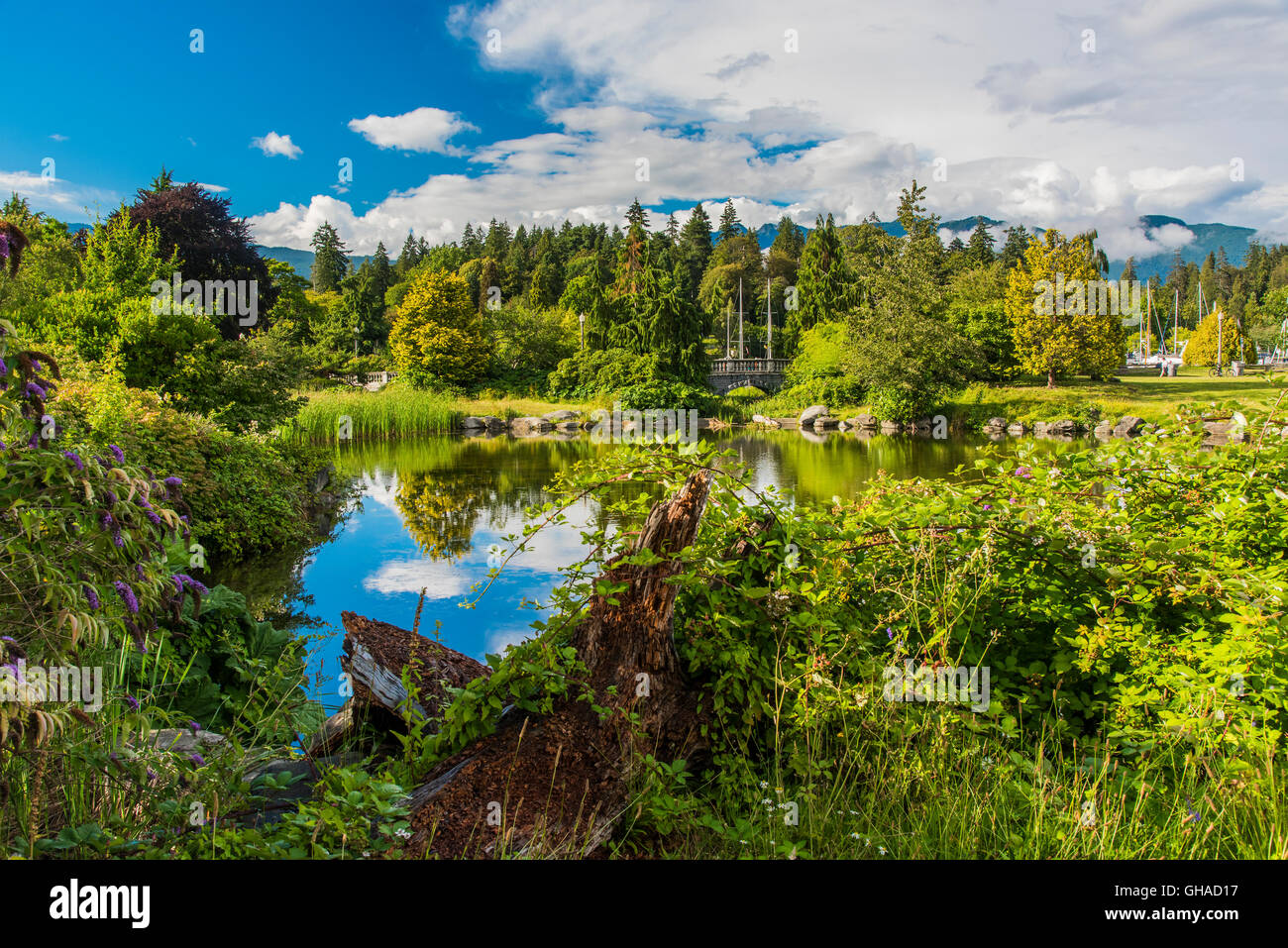 Stanley Park, Vancouver, British Columbia, Canada Stock Photo