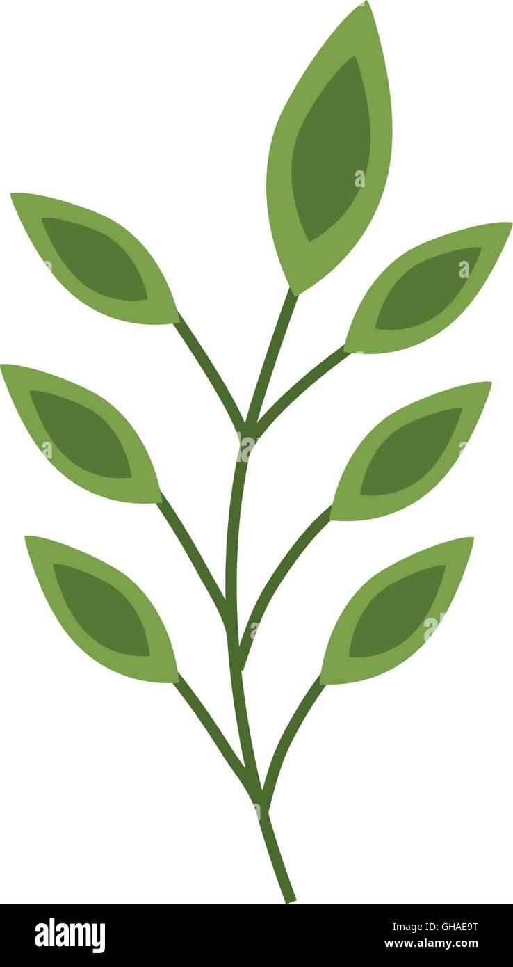 leaf leaves green nature plant icon. Vector graphic Stock Vector Image ...