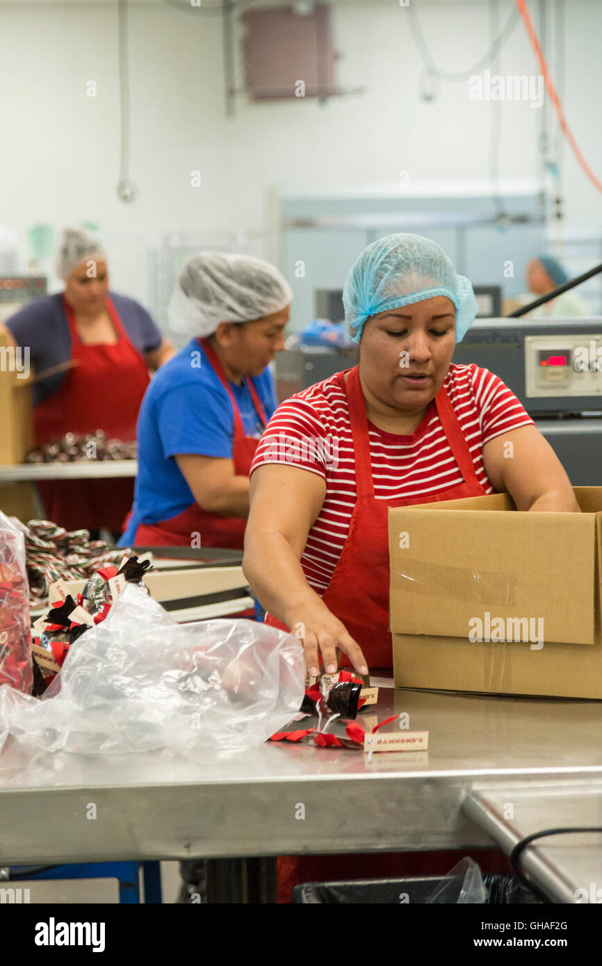Denver, Colorado Workers make and package candy at the Hammond's