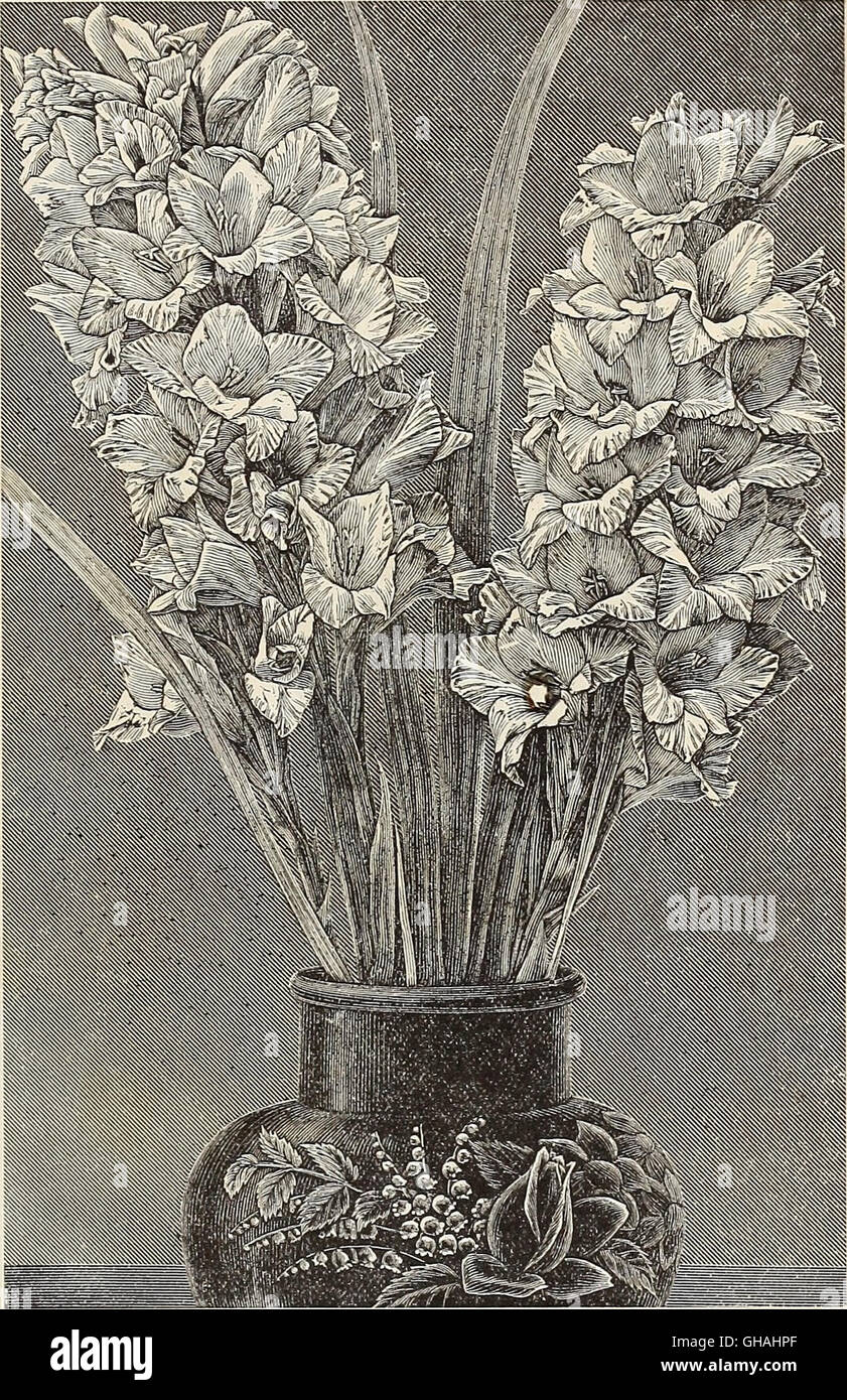The *Catalogue of the Cox Seed and Plant Co* (1894) offers a