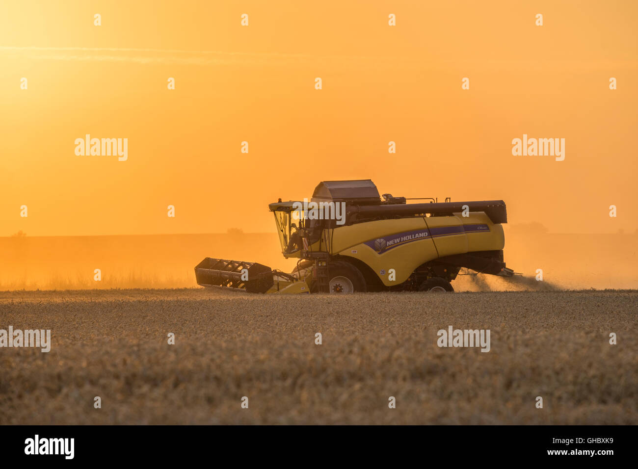 agriculture, combine during the harvest in the evening, administrative district Wolfenbuettel, Lower Saxony, Editorial-Use-Only Stock Photo