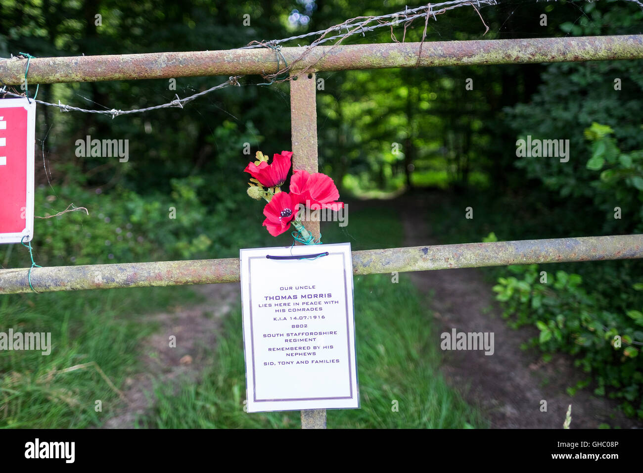 A personal memorial at High Wood, Bazentin-le-Petit, France to Thomas Morris, of the South Staffordshire Regiment. Stock Photo