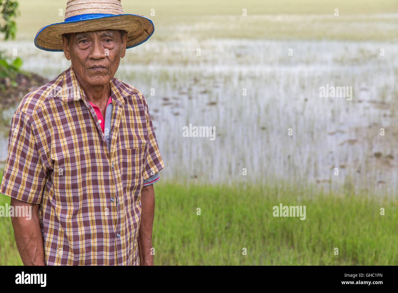 Senior Thai rice farmer in front of rice paddy field looking at you camera me Stock Photo