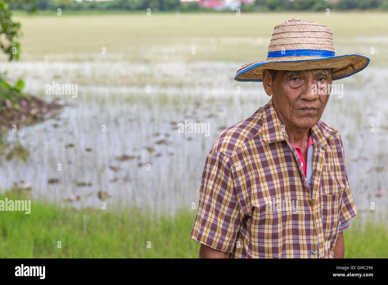 Elderly Thai rice farmer wearing a hat and looking down with a rice paddy in the background Stock Photo