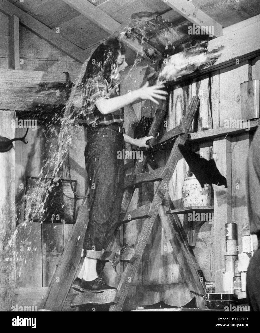 WHAT A WAY TO GO! What a Way to Go USA 1964 J. Lee Thompson Scene: Louisa Foster (SHIRLEY MACLAINE) in jeans climbing a ladder and get in touch with a surprising shower Regie: J. Lee Thompson aka. What a Way to Go Stock Photo