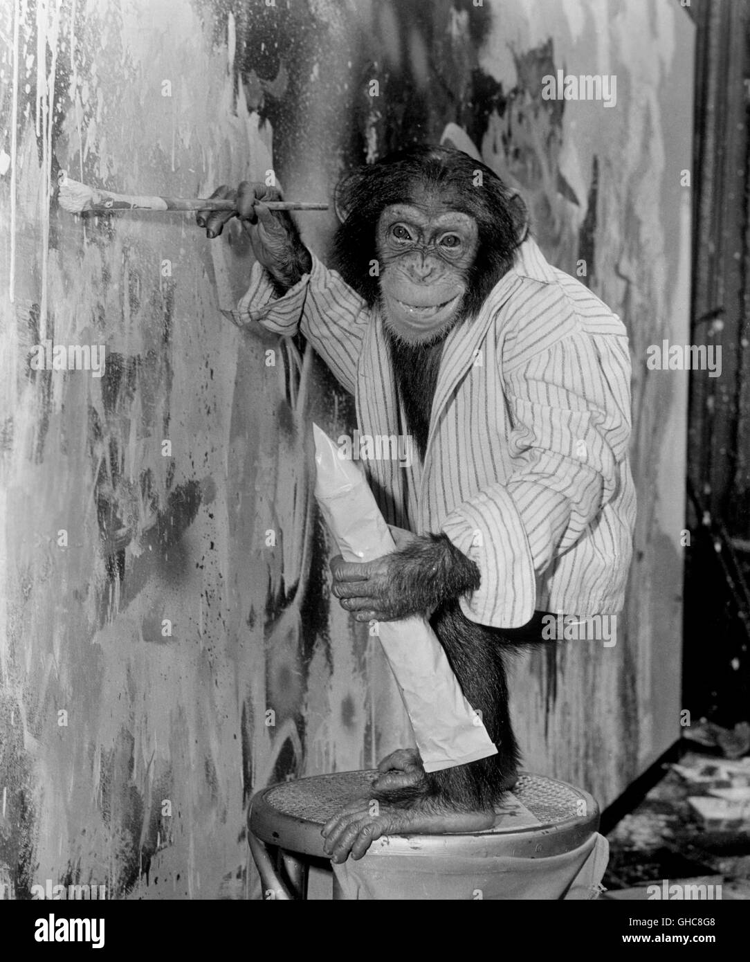 WHAT A WAY TO GO! What a Way to Go USA 1964 J. Lee Thompson Schimpanse als Maler, painting chimpanzee Regie: J. Lee Thompson aka. What a Way to Go Stock Photo