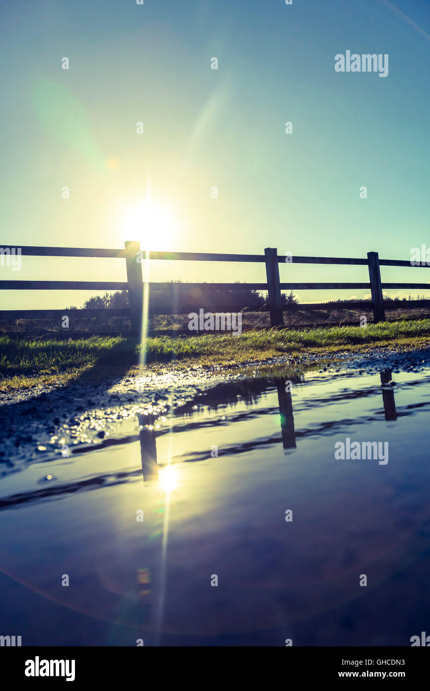 The low sun reflecting off a pool of water in front of a wooden fence Stock Photo