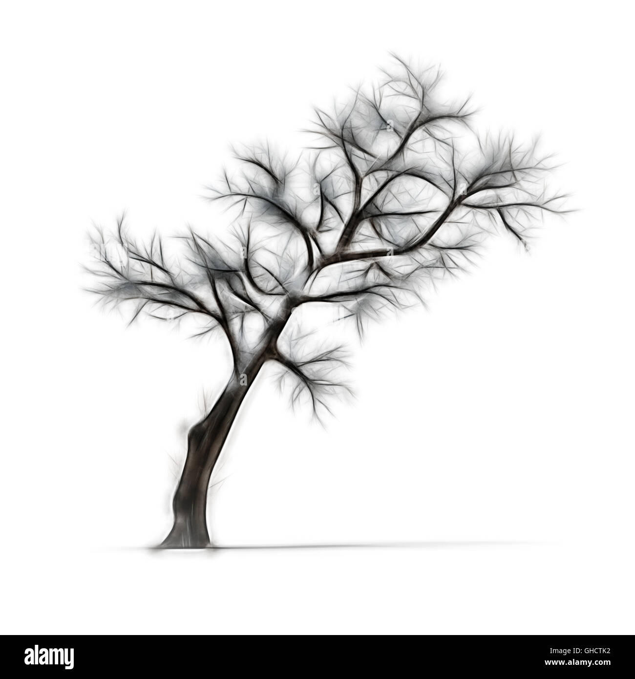 Tree With No Leaves Clip Art at Clker.com - vector clip art online, royalty  free & public domain