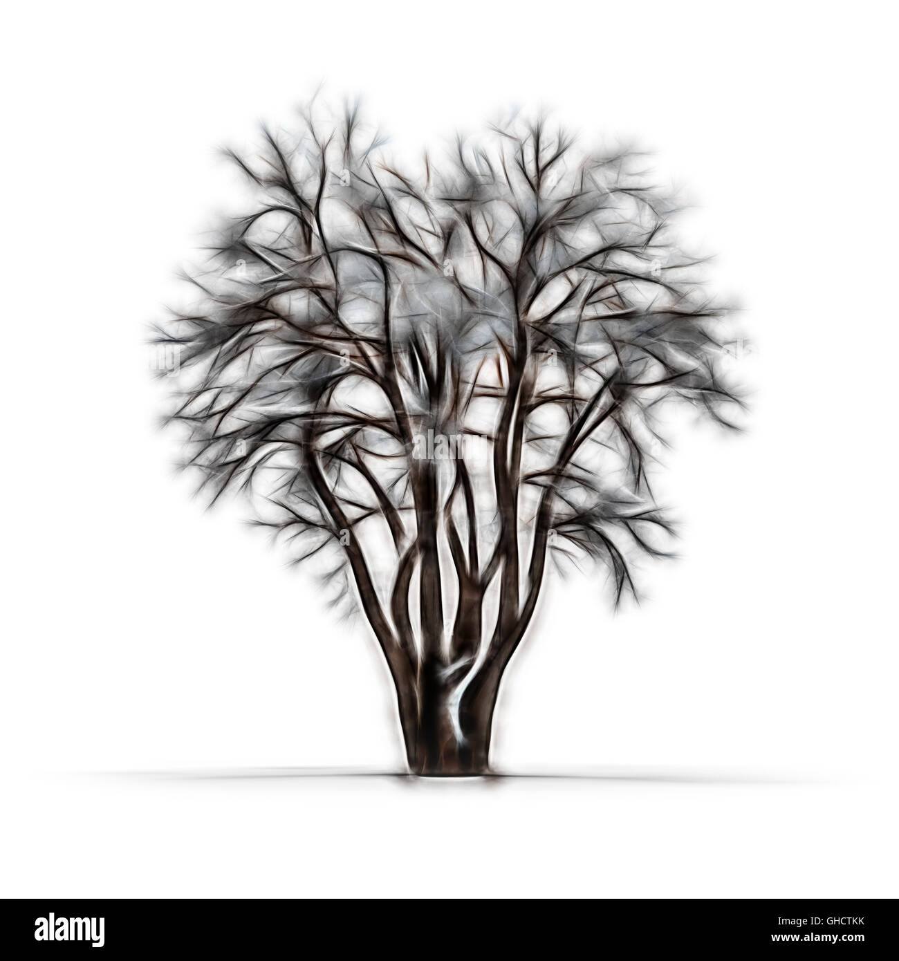 Sketch Of Winter Tree Without Leaves On White Background