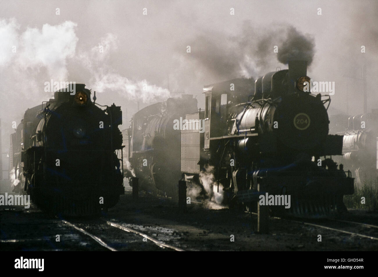 The Tubarao on Brazil's metre-gauge Teresa Cristina Railway in December 1978, showing one of the company's Mikados alongside a 2 Stock Photo