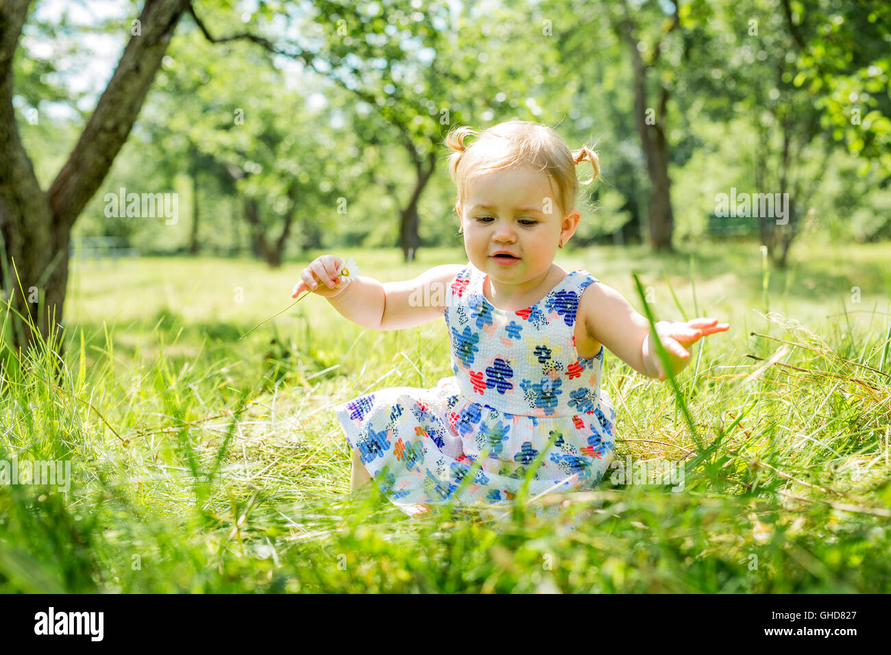 Little girl in the forest park Stock Photo - Alamy