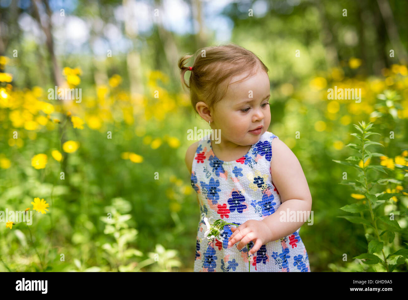 Little girl in the forest park Stock Photo Alamy