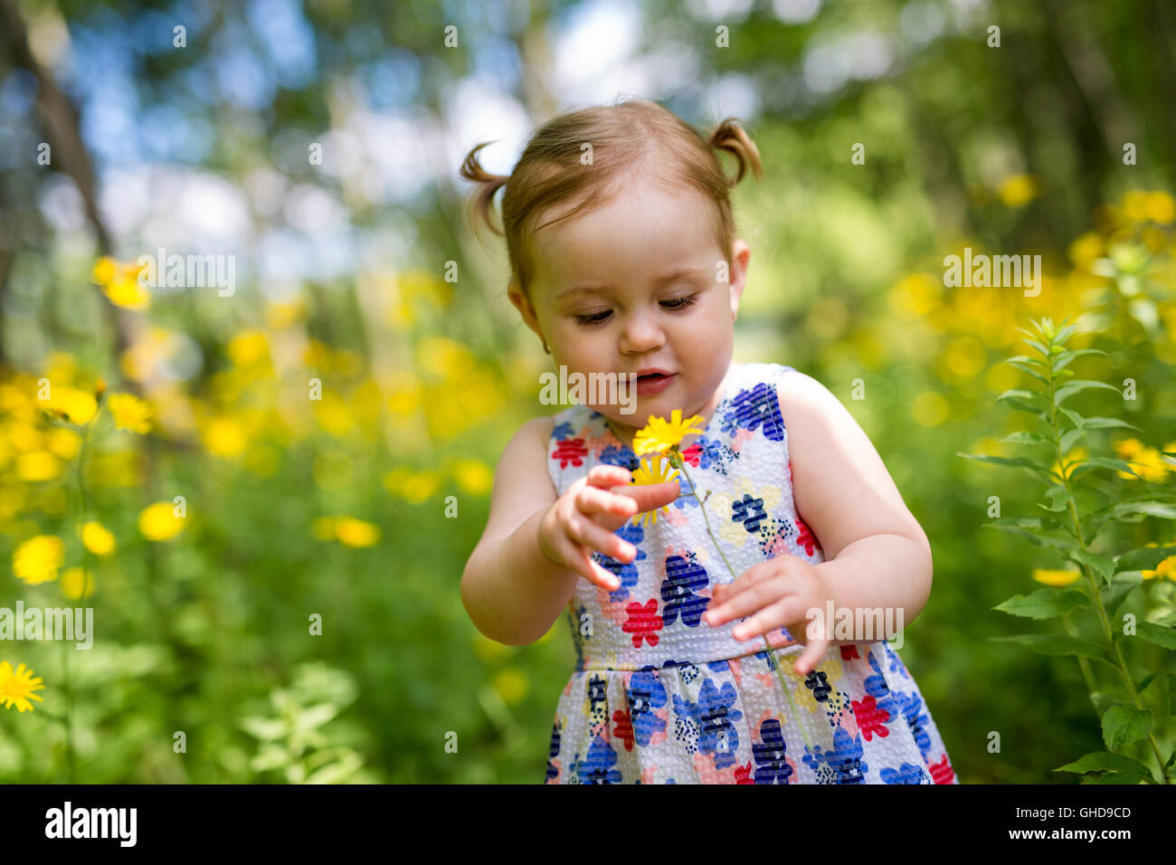 Little girl in the forest park Stock Photo - Alamy